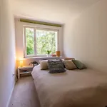 公寓 Apartament Lesny
